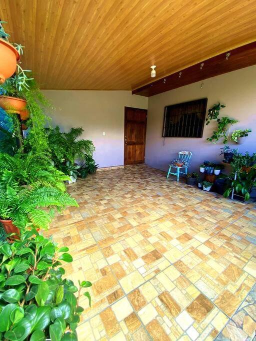Peace Garden Apartment Monteverde 외부 사진